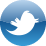twittericon